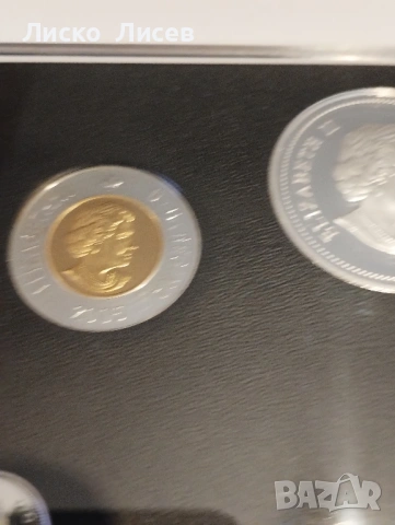 Канада 2005г. сет мат-гланц 8 броя монети 6 от тях сребро, снимка 10 - Нумизматика и бонистика - 53605456