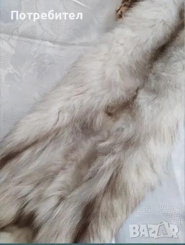 Яка от цяла лисица, снимка 11 - Шалове - 49942193