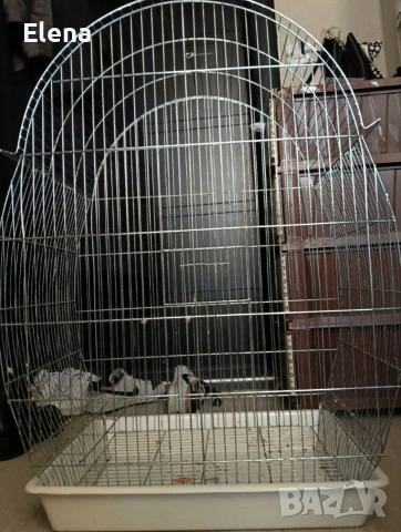 Клетка за папагал с папагал, снимка 4 - За птици - 53616700