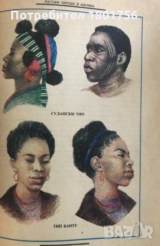 Човешките раси и типове /Човекът по земята/ - Илдико Ханко, Марта Лацза, снимка 4 - Специализирана литература - 34404780