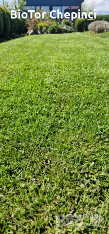 🌿Наторяване на трева с тор от Калифорнийски червей, снимка 3 - Тор и почвени смеси - 49967903