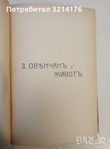 Литературни сборници; Южни цветове; Сняг. Песни на песните. Книга 1-2 – Т. В. Траяновъ , снимка 15 - Специализирана литература - 53621396