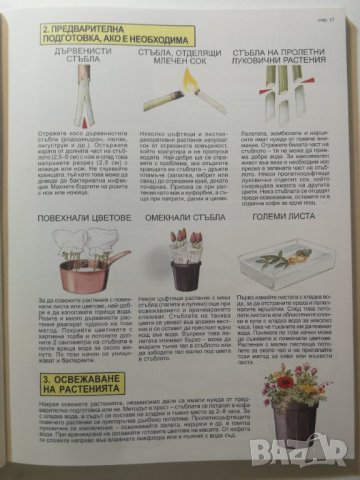 Експерт по аранжиране на цветята д-р Д. Д. Хесайон, снимка 7 - Специализирана литература - 33521092