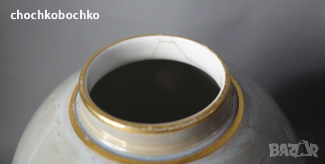 Epiag Чешка Порцеланова Ваза с папагал Чехословакия, снимка 3 - Вази - 53196734