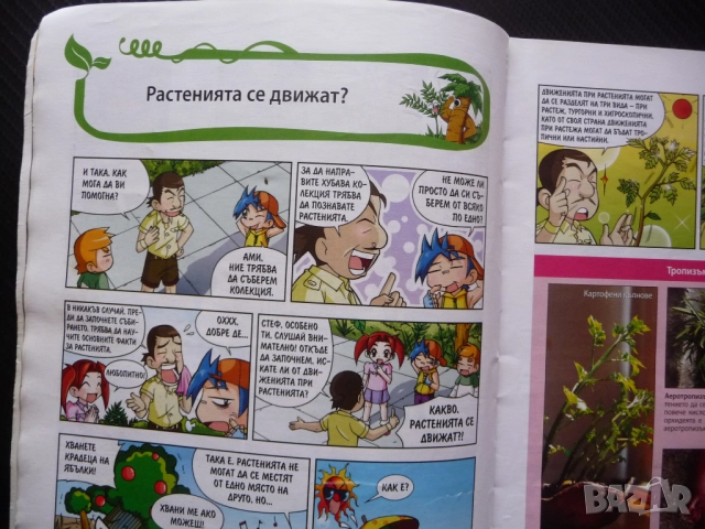 Защо? Растенията комикс забавно запознаване децата със света дървета храсти цветя водорасли билки фл, снимка 2 - Детски книжки - 52637759
