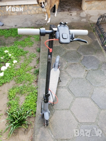 Тротинетка-Перфектна!