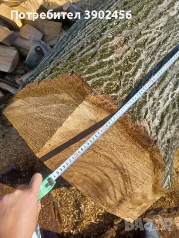 орех за дървен материал , снимка 2 - Други - 50399628