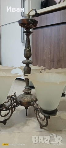 Полилей, снимка 2 - Полилеи - 51833198