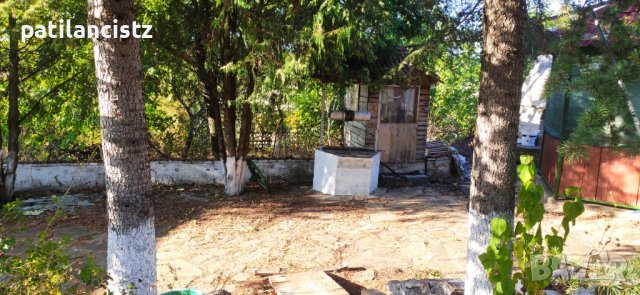 Къща с двор, лозе, басейн, барбекю и бесетка, снимка 13 - Къщи - 42591138