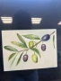 Ръчно рисувана акварелна картина – Маслини, снимка 2