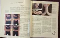Справочник - Guide to Yoga, снимка 5