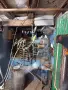 Продавам вълнисти папагали, снимка 2