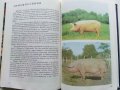 Албум за растения и животни - Н.Боев,С.Петров,П.Кръстев - 1976г., снимка 6