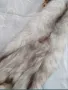 Яка от цяла лисица, снимка 11