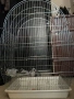 Клетка за папагал с папагал, снимка 4