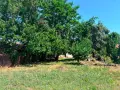 Парцел в с.Дреновец, снимка 4