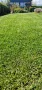 🌿Наторяване на трева с тор от Калифорнийски червей, снимка 3
