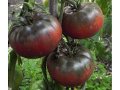 6 сорта семена домати за 10 лева, снимка 3