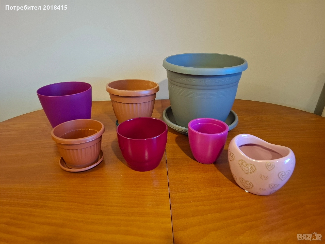 Саксии и кашпи, снимка 1