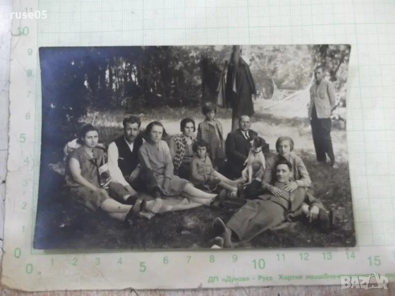 Снимка стара сред природата с куче, снимка 1