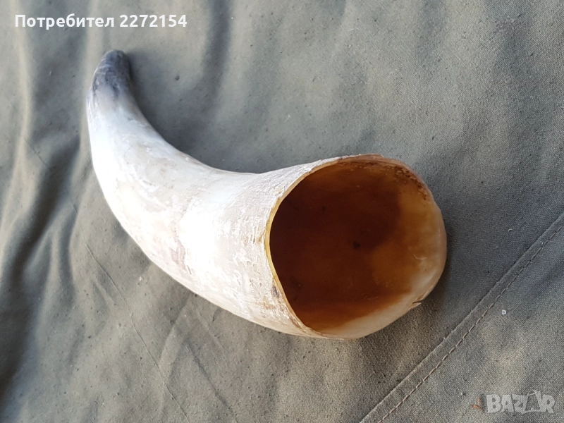 Рог чаша, снимка 1