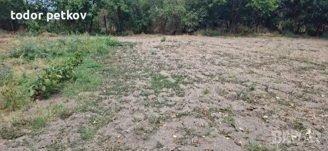 Дворно място в село Манолско Конаре , снимка 7 - Парцели - 56149259