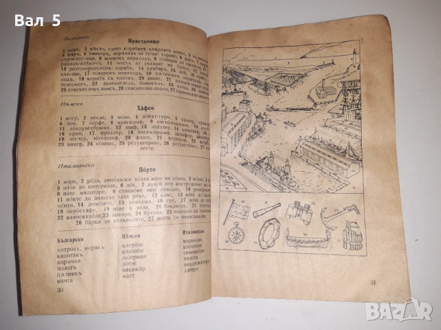 Рядък илюстрован разговорник , речник Царство Б- я, снимка 6 - Специализирана литература - 53664709