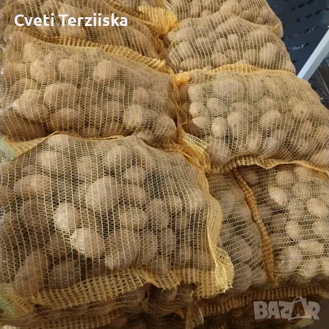 Продавам картофи, снимка 2 - Домашни продукти - 56271860
