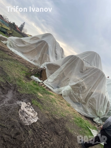 Бали, снимка 2 - За селскостопански - 52973043