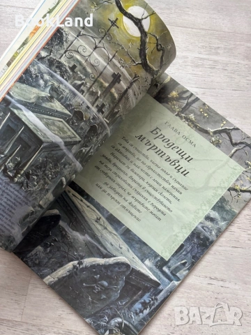 Енциклопедия Фентъзи – Джуди Алън, Фют , снимка 11 - Детски книжки - 53295584