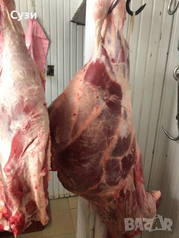 Продавам телета и телешко месо, снимка 7 - Крави - 38112465