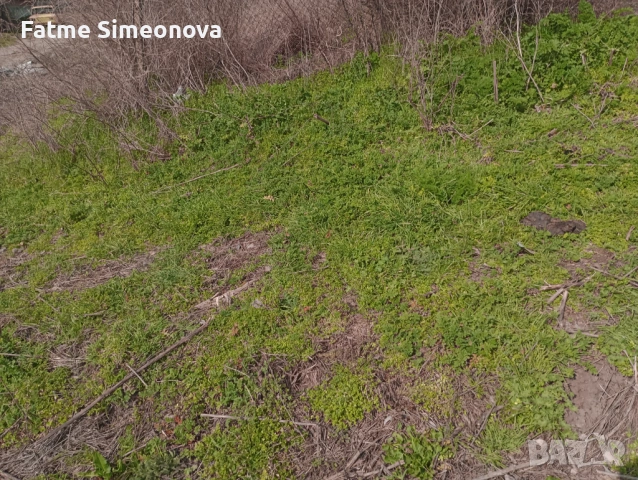 дворно място от собственик 