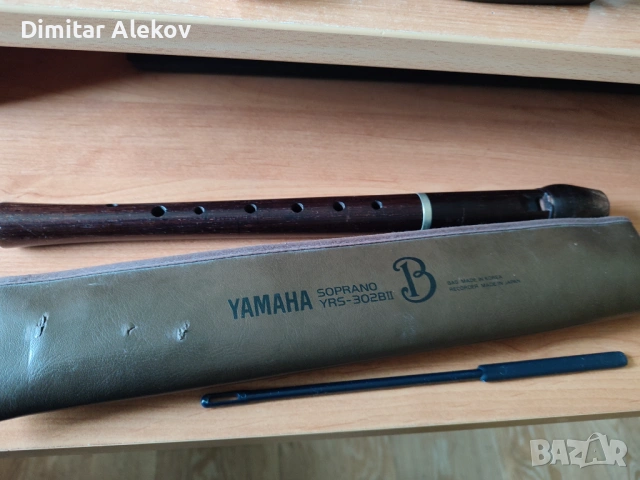 Блок флейти, снимка 2 - Духови инструменти - 53348134