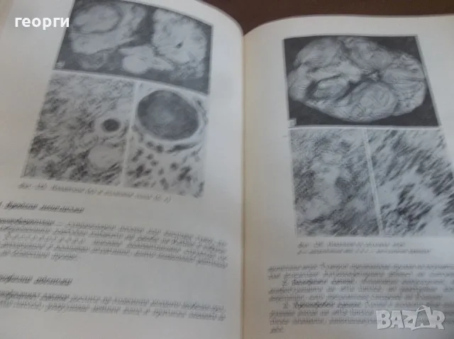 Книга..........., снимка 5 - Специализирана литература - 55878201