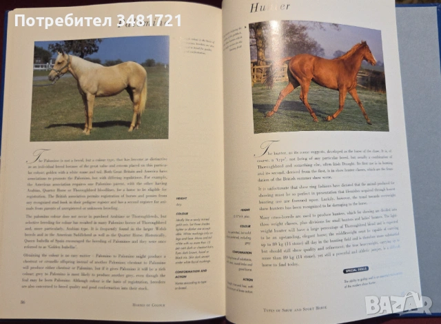Hamlyn All Colour Guide to Horses, снимка 7 - Енциклопедии, справочници - 53251507