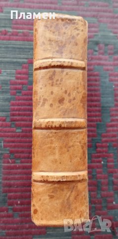 Homo sapiens Станиславъ Пшибишевски, снимка 2 - Антикварни и старинни предмети - 39177605