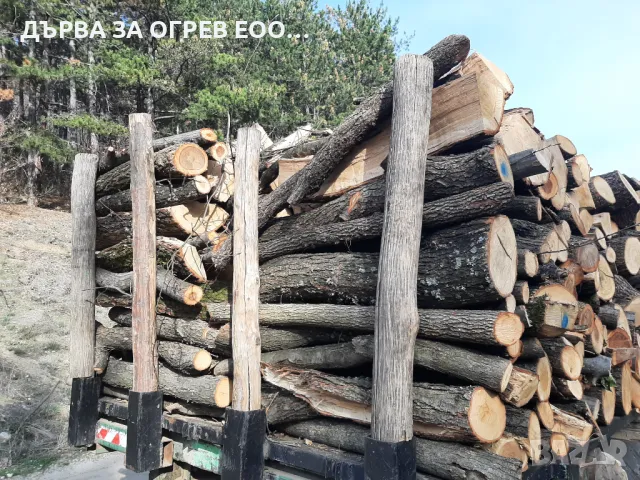 дърва за огрев метровки дъб 