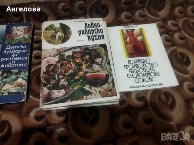 Полезни книги, снимка 2 - Специализирана литература - 41440820