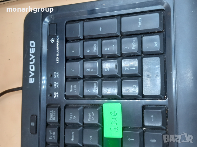 Клавиатура EVOLVEO, снимка 2 - Клавиатури и мишки - 44561393