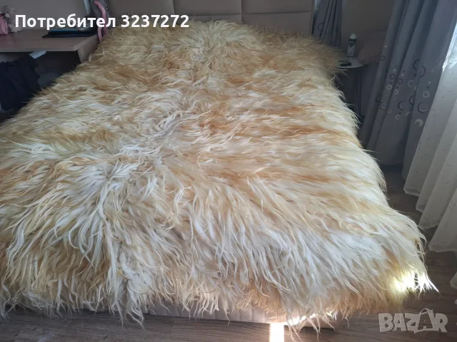  Родопски китеник( ресник), снимка 2 - Други стоки за дома - 56410894