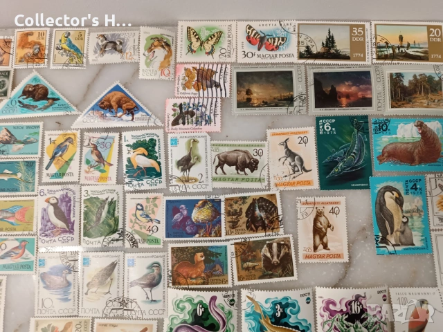 Сет от 95 марки с животни за 50 лв. общо, снимка 9 - Филателия - 53049132