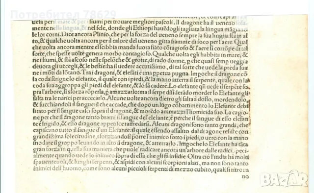 КОНЯТ НА АЛЕКСАНДЪР МАКЕДОНСКИ - 18 В., снимка 2 - Антикварни и старинни предмети - 49615494