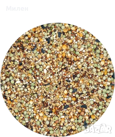  основна поддържаща смес за изложбени гълъби: без царевица

, снимка 2 - Гълъби - 49471970