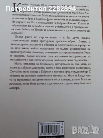 "Дом за нежелани момичета", снимка 2 - Художествена литература - 47877864