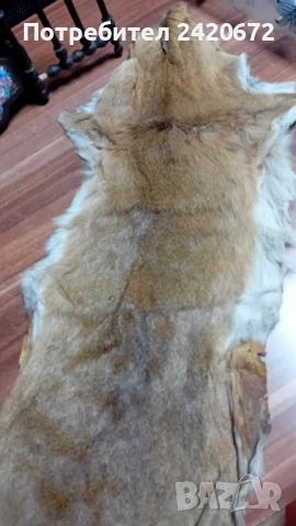 еленска кожа, снимка 2 - Антикварни и старинни предмети - 51182824