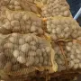 Продавам картофи, снимка 2