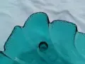 Една морска купа, снимка 4