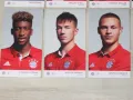 Комплект оригинални футболни картички на Байерн Мюнхен от сезон 2016/17, снимка 8