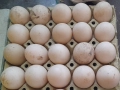 Яйца от различни видове водоплаващи, снимка 1