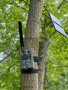 Ловна камера Bolymedia BG-710-M – 4G 24MP , снимка 4